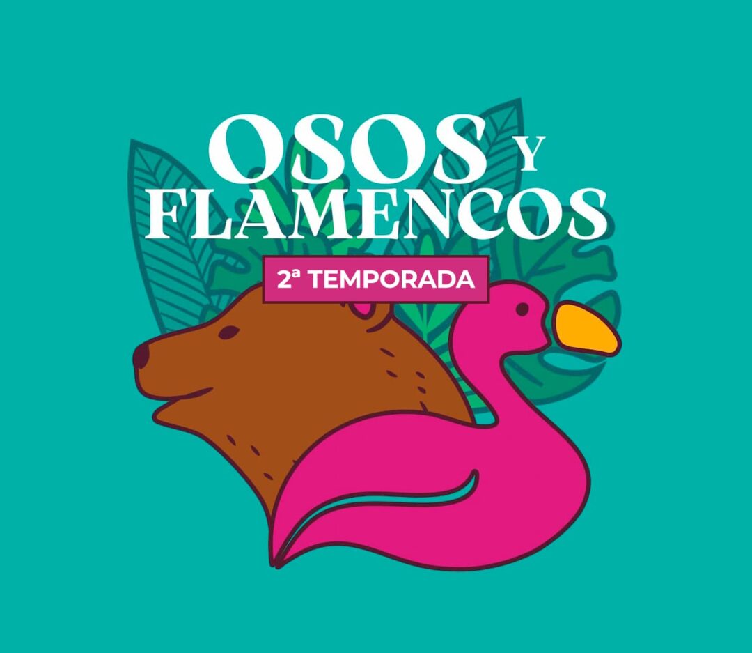 Videopodcast Osos y Flamencos