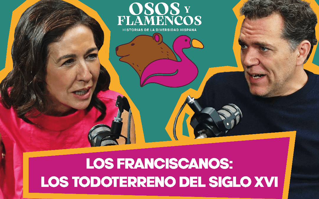 Los Franciscanos, los Todoterreno del SXVI