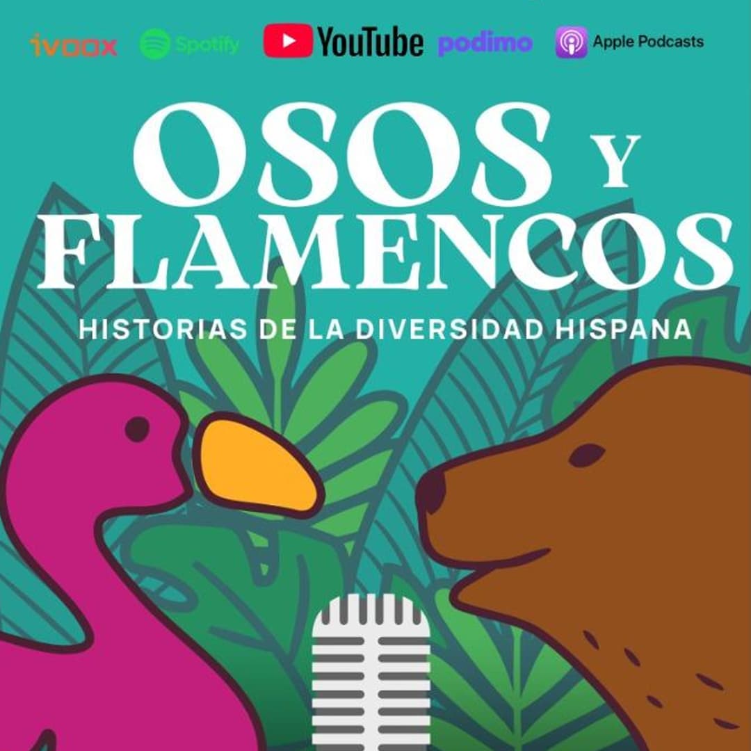 Estreno: 'Osos y Flamencos', el videopodcast de historia