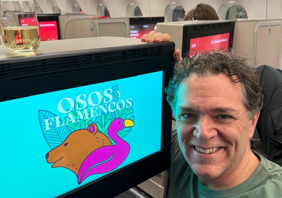 Osos y Flamencos despega con Iberia